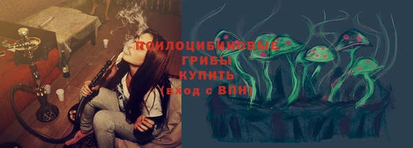 ГАЛЛЮЦИНОГЕННЫЕ ГРИБЫ Горнозаводск