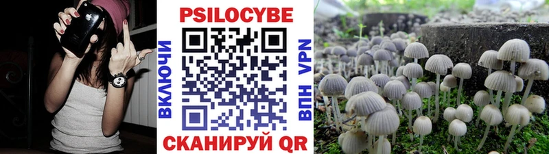 Галлюциногенные грибы GOLDEN TEACHER  наркотики  гидра вход  Северск 